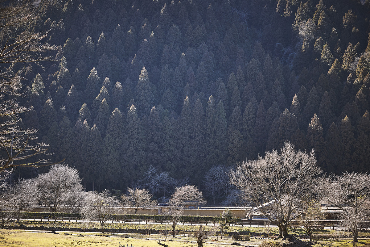 Ichijo-Dani